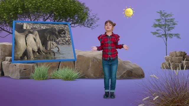 Bota e Lizës - 1. Elefanti