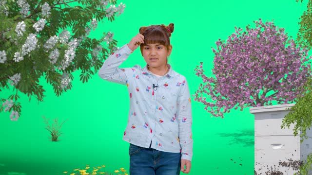 Bota e Lizës - 3. Bletët